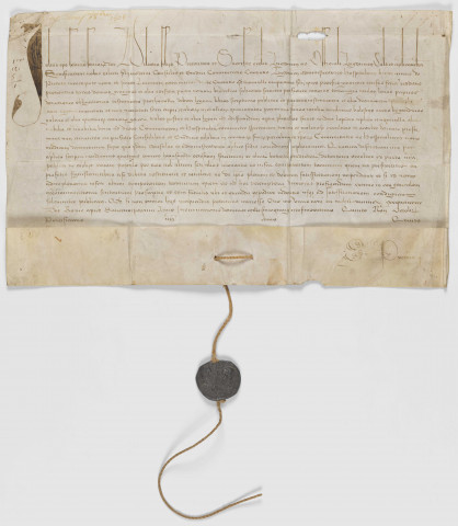 Bulle du pape Jules II en faveur de l'Hôtel Dieu.